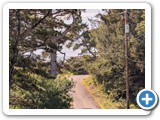2 block walk to hobbit trail beach access zoomed in from on the street in front of houses