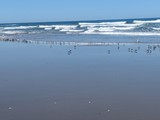 PXL_20240419_175740164