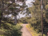 zoomed in photo from street in front of house, 2 block walk to hobbit trail and onto beach