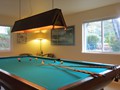 The Pool Table